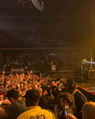 Live concert by Emily Catalano