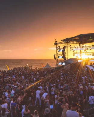 Live concert by Ann Arbor Folk Festival