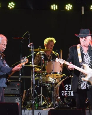 Live concert by Everything Yes