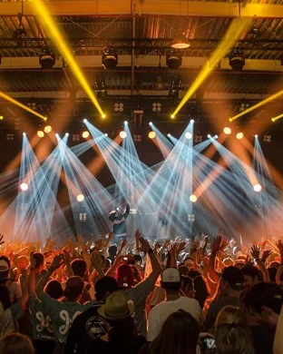 The Technicolors Ann Arbor