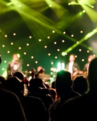 That 1 Guy Ann Arbor