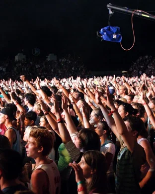 Wild Child - Band Ann Arbor