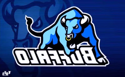 Buffalo Bulls