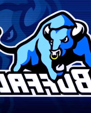 Buffalo Bulls