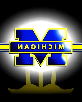 Michigan Wolverines Football Ann Arbor
