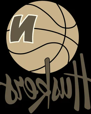 Nebraska Cornhuskers vs. Michigan Wolverines