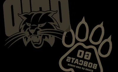 Ohio Bobcats