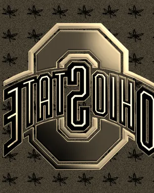 Ohio State Buckeyes vs. Michigan Wolverines