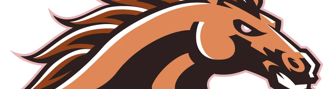 Western Michigan Broncos