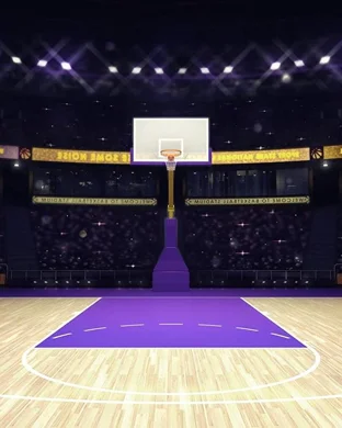 Northwestern Wildcats Women's Basketball