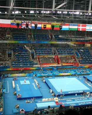 Ohio State Buckeyes Women's Gymnastics