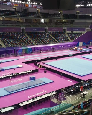 Michigan Wolverines Gymnastics