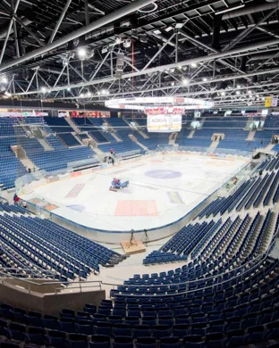 Michigan Wolverines Hockey