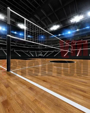 Purdue Boilermakers Women's Volleyball