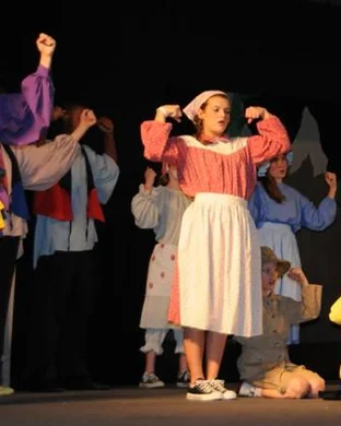 Gabby's Dollhouse Live!